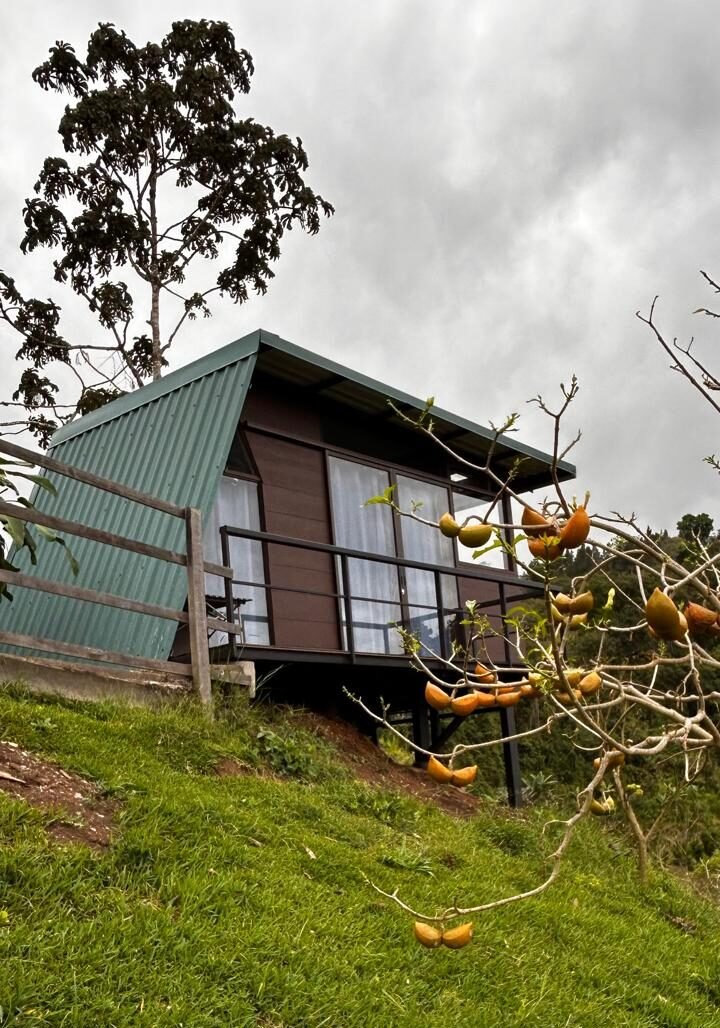 WhatsApp Image 2026-02-25 at 6.39.08 PM